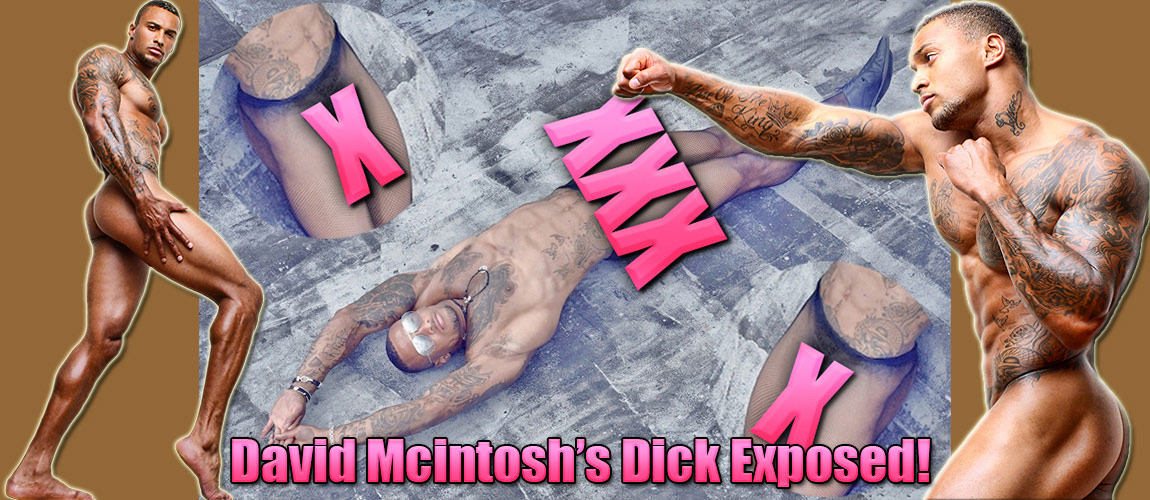 David Mcintosh WALL