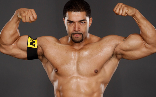 David-Otunga-wwe